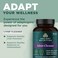 Liver Detox Supplement by Ancient Nutrition Ancient Herbals Liver Cleanse with Milk Thistle Dandelion Root  Reishi for Optimal Liver Support 1300mg Gluten Free 60 Count