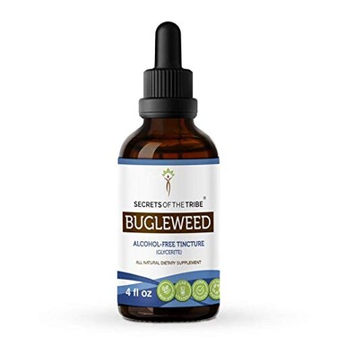 Bugleweed USDA Organic Tincture AlcoholFree extract Highpotency Herbal Drops Tincture made from Bugleweed Ze Lan Lycopus Virginicus Dried Herb Respiratory System Health 4 oz