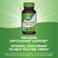Natures Way Chlorofresh Chlorophyll Concentrate Supports Detox Pathways Chlorophyllin Copper Complex Supports Healthy Skin Internal Deodorant 90 Softgels Packaging May Vary