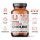 UMZU Choline Supplement for Cognitive and Hormonal Support  Acetylcholine Booster Helps Brain Focus Memory  Metabolism  Promotes Liver Health  Estrogen Balance 30 Day Supply  90 Capsules