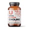 UMZU Choline Supplement for Cognitive and Hormonal Support  Acetylcholine Booster Helps Brain Focus Memory  Metabolism  Promotes Liver Health  Estrogen Balance 30 Day Supply  90 Capsules