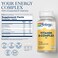 SOLARAYVitamin B Complex 50mg Healthy Energy Supplement Red Blood Cell Formation Nerve and Immune Support Super B Complex Vitamins wFolic Acid Vitamin B12 B6 and More Vegan 100 VegCaps