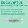 MOX Eucalyptus Essential Oil Nasal Inhaler Sinus  Congestion Relief Daily Relaxation Stress Relief Therapeutic NoMess Aromatherapy Pure and Natural Made in USA 3 Pack