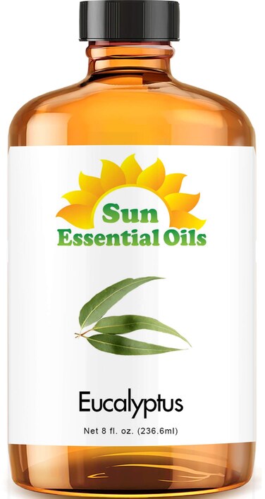 Sun Essential Oils 8oz  Eucalyptus Essential Oil  8 Fluid Ounces  Eucalyptus Oil 8 oz
