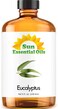 Sun Essential Oils 8oz  Eucalyptus Essential Oil  8 Fluid Ounces  Eucalyptus Oil 8 oz