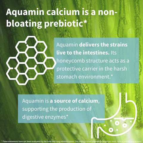 Live Cultures Lab4 Probiotics  Prebiotic Vegan NonGMO Lactobacillus Acidophilus  Bifidobacterium Guaranteed 25 Billion CFU NonBloating Gut Health Support 30 Capsules by Igennus