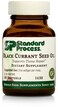Standard Process Black Currant Seed Oil  Immune Support Blood Flow Support and Tissue Repair Support with Whole Food Blend of Black Currant Seed Oil and GammaLinoleic Acid  60 Softgels