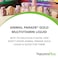 Natures Plus Animal Parade Gold Childrens Liquid Multivitamin 16 fl oz  Natural Tropical Berry Flavor  Immune Support Supplement  Gluten Free Vegan  32 Servings