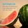 Liquid IVHydration Multiplier  Watermelon  Hydration Powder Packets  Electrolyte Drink Mix  Easy Open SingleServing Stick  NonGMO  16 Servings Pack of 1