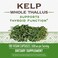 Natures Way Kelp 180 Capsules Pack of 2