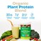 Amazing GrassOrganic Plant Protein Blend Vegan Protein Powder New Protein Superfood Formula AllInOne Nutrition Shake with Beet Root Pure Vanilla 11 Servings