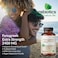 FuturebioticsFenugreek Extra Strength 2400 MG Supports Overall Good Health  WellBeing NonGMO 300 Vegetarian Capsules