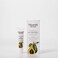 Nourish OrganicEye Treatment Avocado  Argan  Renewing  Hydrating Under Eye Brightener with Vitamin C  Washable Cotton Round