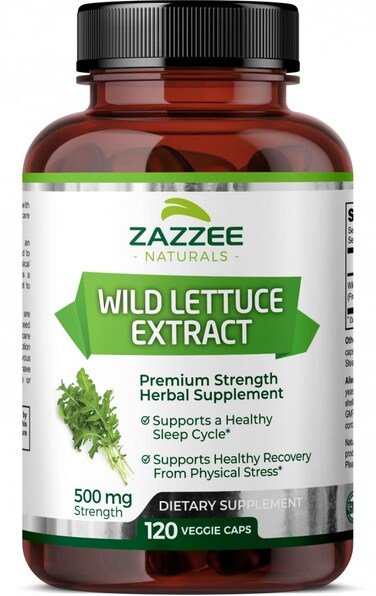 Zazzee Extra Strength Wild Lettuce 41 Extract 500 mg Strength 120 Vegan Capsules Potent Lactuca Virosa Variety Standardized and Concentrated 4X Extract 100 Vegetarian AllNatural and NonGMO