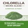 Natures Way Chlorella Microalgae 1230 mg per serving 100 VCaps