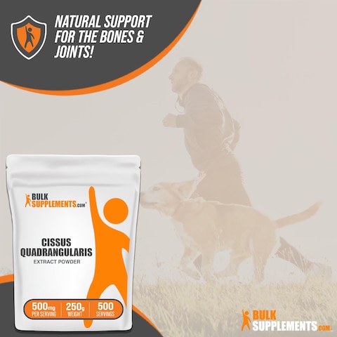 BulkSupplementscom Cissus Quadrangularis Extract Powder  Cissus Quadrangularis Supplement Cissus Powder  Herbal Supplement Gluten Free 500mg per Serving 250g 88 oz Pack of 1
