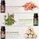 Woody Essential Oils Set Men Scents Fragrance Oil for Candle Making  Sandalwood Frankincense Teakwood Cypress Cedarwood Patchouli Diffuser Oil Scents