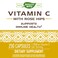 Natures WayVitamin C with Rose Hips  Powerful Antioxidant Protection  Supports Immune Function  Strengthens Collagen for Healthy Skin  Gluten Free  250 Capsules