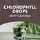Natures Way Chlorofresh Liquid Chlorophyll Concentrate Drops Internal Deodorant Supports Detoxification Pathways Mint Flavored 2 Fl Oz