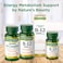 Natures Bounty Vitamin B12 Quick Dissolve Vitamin Supplement Supports Energy Metabolism and Nervous System Health 5000mcg 40 Tablets Pack of 2