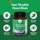 Prebiotics and Probiotics Gut Health Supplement  Super Potent Digestive Health Acidophilus Probiotic Capsules with Men and Womens Probiotics and Prebiotics for Colon Digestive Support and Immunity