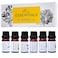 Essential Oils by Pure Essentials 100 Pure Oils kit Top 6 Aromatherapy Oils Gift Set6 Pack 10Ml
