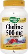 NATURES WAY 500Mg 100 Tb Choline 100 CT
