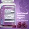 Zand Elderberry Zinc Immunity Gummies with Vitamin C  YearRound Immune Support for Children  Adults  60ct 30 Serv