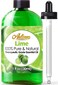 Artizen Lime Essential Oil 100 Pure  Natural  Undiluted Therapeutic Grade  Huge 1oz Bottle  Perfect for Aromatherapy Relaxation Skin Therapy  More