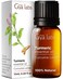 Gya Labs Turmeric Essential Oil for Skin  100 Natural Turmeric Oil Essential Oil Diffuser  Aromatherapy Oil Turmeric Oil for Body Hair Massage  Spicy Warm  Earthy Scent for Candles 034 Fl Oz
