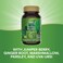 Natures Way Kidney Bladder Premium Blend Traditional Herbs Supplement 900 mg per 2Capsule Serving NonGMO Project Verified Vegan 100 Capsules Packaging May Vary
