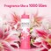 Ponds Dream Flower magic Talc 100gm