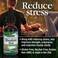 Natures AnswerRhodiola Root  Super Concentrated Herbal Supplement  Helps Aid  Reduce Stress  AlcoholFree GlutenFree and Kosher Certified 1oz