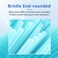 Replacement Toothbrush Heads Compatible with AquaSonic Black Series Vibe Series Electric Toothbrush Curved Shape Design Planted with Nylon Bristle Black