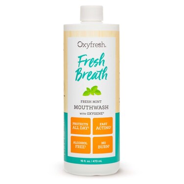 Oxyfresh Fresh Breath Fresh Mint Mouthwash  Dentist Recommended for LongLasting Fresh Breath  Healthy Gums  Alcohol  Fluoride Free 116 oz Bottle