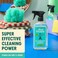 Aunt Fannies All Purpose Cleaning Vinegar Multisurface Spray Cleaner 169 Ounces Eucalyptus Scent Pack of 1 Packaging May Vary