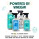 Aunt Fannies All Purpose Cleaning Vinegar Multisurface Spray Cleaner 169 Ounces Eucalyptus Scent Pack of 1 Packaging May Vary