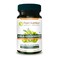Pure Nutrition Amla Extract 1000mg per Serving Equivalent to 8000mg Amla Fruit Powder Non GMO 60 Veg Capsules