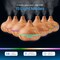 Ultimate Aromatherapy Diffuser  Essential Oil Set  Ultrasonic Top 10 Oils Modern with 4 Timer 7 Ambient Light Settings Therapeutic Grade Lavender