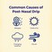 BoironHydrastis Canadensis 6C Homeopathic Medicine for PostNasal Drip Relief Excess Mucus Scratchy Throat  3 Count 240 Pellets