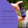 Edens Garden Lavender French Essential Oil 100 Pure Therapeutic Grade Undiluted NaturalHomeopathic Aromatherapy Scented Essential Oil Singles 30 ml