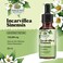 Amazing BotanicalsIncarvillea Sinensis 40X Extract Tincture 120000 mg  30ml  1oz