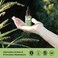 Amazing BotanicalsIncarvillea Sinensis 40X Extract Tincture 120000 mg  30ml  1oz