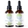 Chanca Piedra B120 2pcs AlcoholFree Herbal Extract Tincture Concentrated Liquid Drops Natural Chanca Piedra Phyllanthus niruri Dried Herb 2x4 fl oz