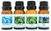 Crazy Candles 4 Bottles Set 1 Blue Spruce 1 Pinon 1 Forest Pine 1 Balsam Fir 12 Fl Oz Each 15ml Premium Grade Scented Fragrance Oils