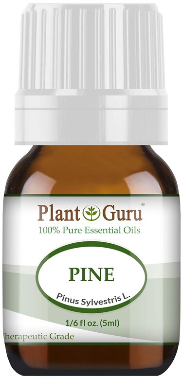 Pine Essential Oil Pinus Sylvestris L 5 ml 100 Pure Undiluted Therapeutic Grade