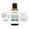 Peppermint Essential Oil 30mL by Revive Essential Oils  100 Pure Therapeutic Grade for Diffuser Humidifier Massage Aromatherapy Skin  Hair Care