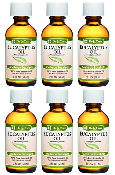 Eucalyptus Essential Oil Aromatherapy for Diffuser or Humidifier 100 Pure Steam Distilled Eucalyptus Globulus 2 FL OZ 6 Bottles
