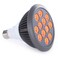 Orange Light Therapy Bulb by Hooga Power Cord Included 605 nm Wavelength 12 LEDs High Irradiance May Reduce Skin Redness and Irritation Mood Enhancing Benefits