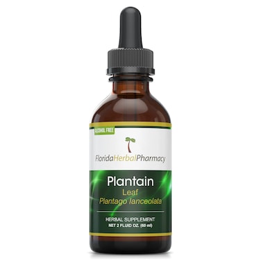 Florida Herbal Pharmacy Alcohol  FREE Plantain Plantago lanceolata TinctureExtract 2 oz